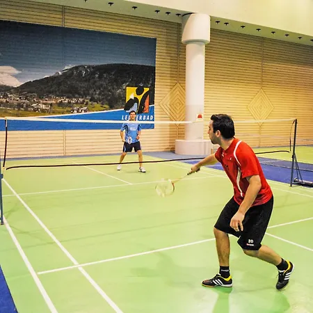 Апартаменты Cristal-12 By Interhome Лойкербад